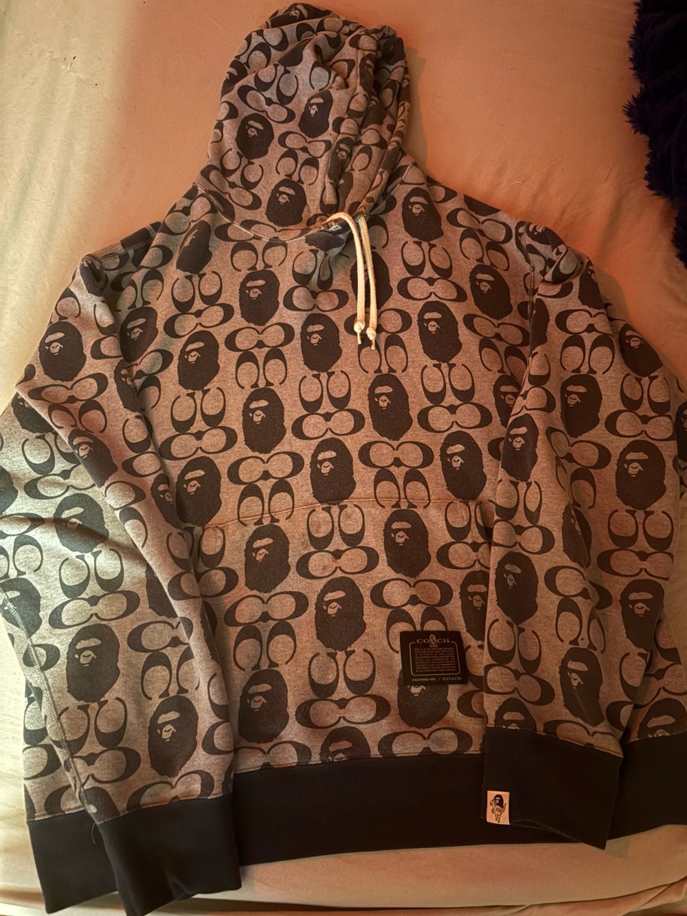 BAPE x coach hoodie